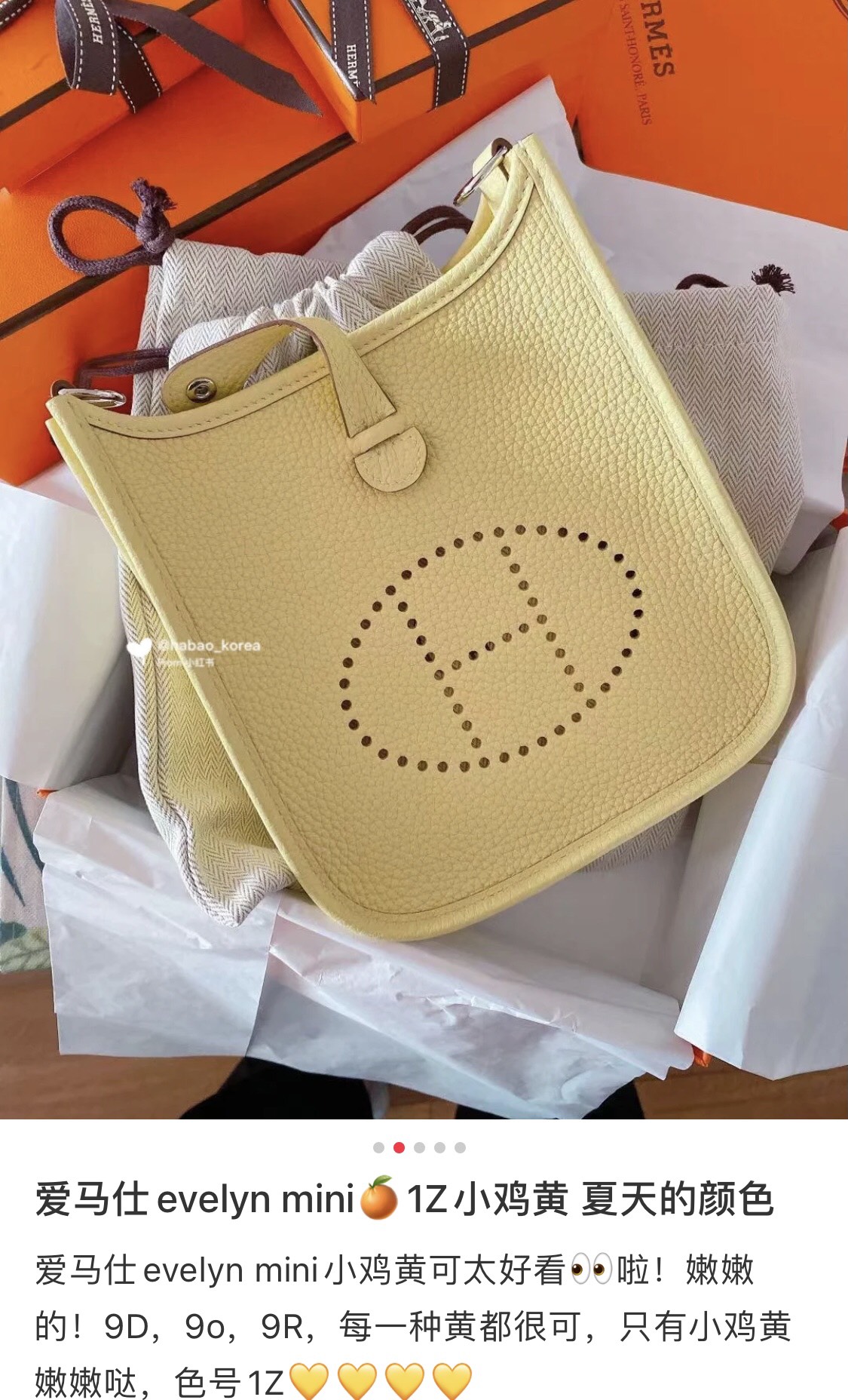 Hermes Evelyn Bags